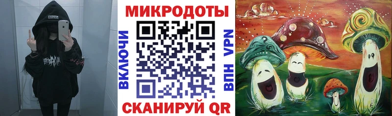 Галлюциногенные грибы Cubensis  где можно купить наркотик  Зима 