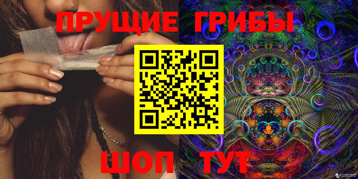 Зима  Псилоцибиновые грибы прущие грибы  даркнет сайт  Вход с VPN 